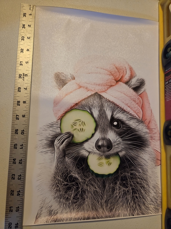 Amazon Other - Set Of 3- Raccoon Bathroom Wall Art Print On Canvas, Pink Detail